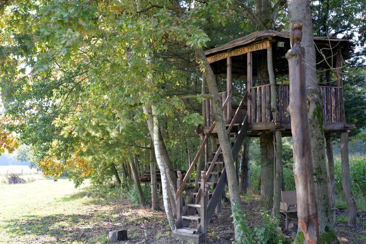 Old Oak House With Pool Villa Marusevec Exterior foto